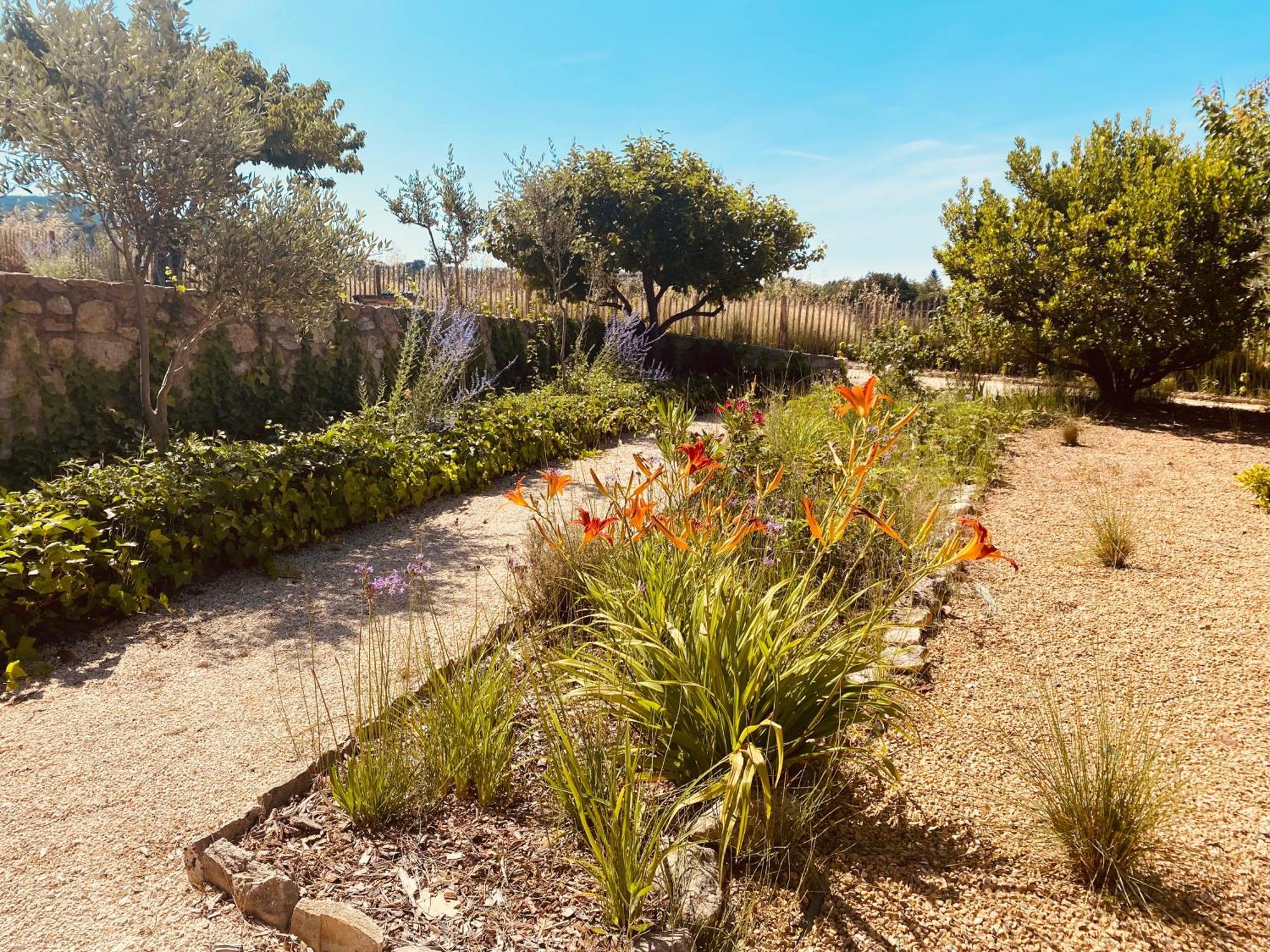 La Bastide Des Oliviers Provence - Mirabel Aux Baronnies Villa Exterior photo