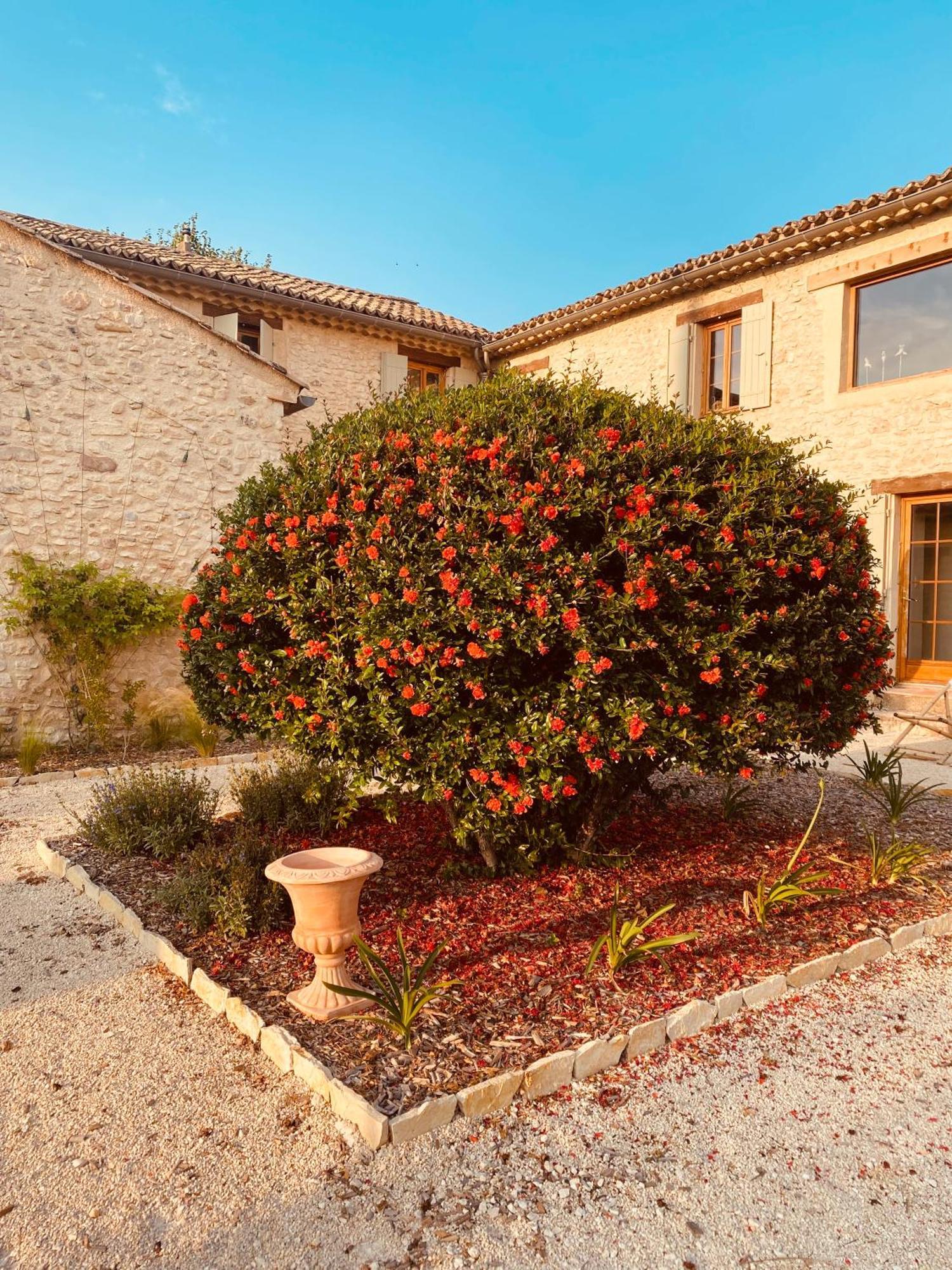 La Bastide Des Oliviers Provence - Mirabel Aux Baronnies Villa Exterior photo