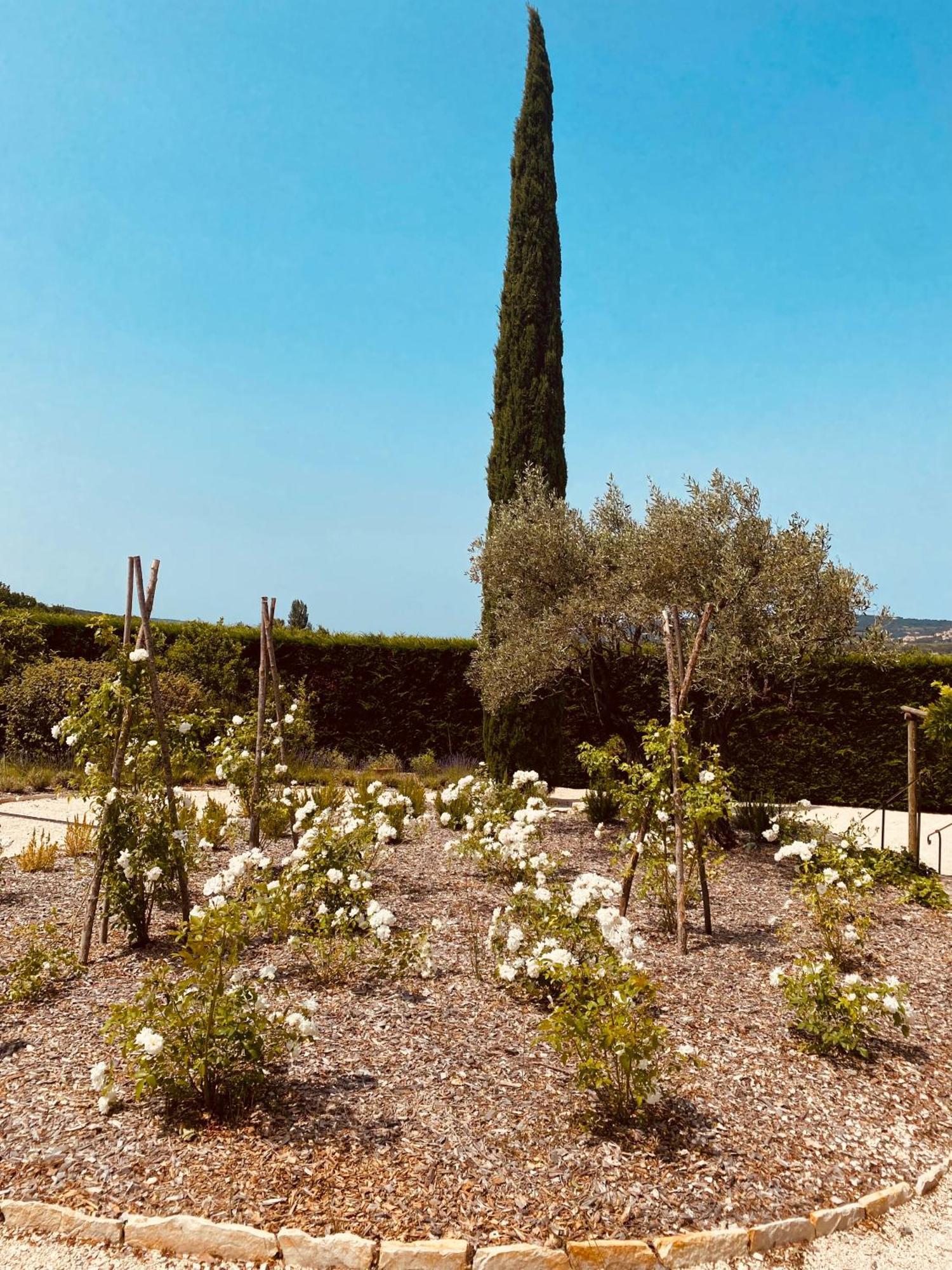 La Bastide Des Oliviers Provence - Mirabel Aux Baronnies Villa Exterior photo