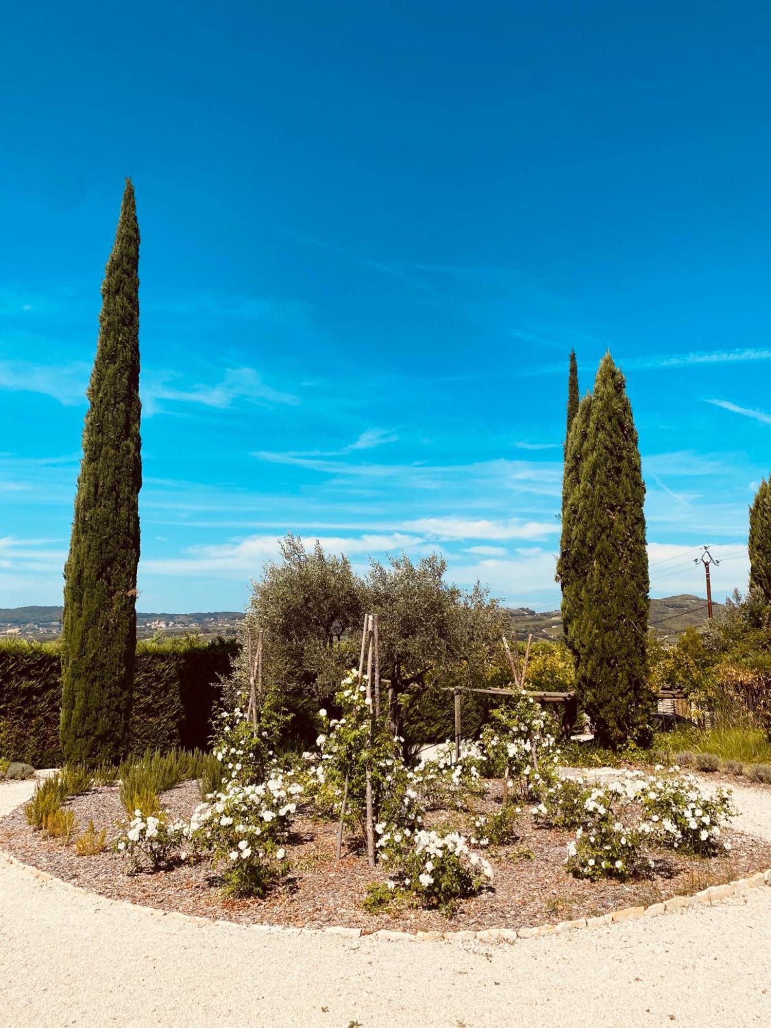 La Bastide Des Oliviers Provence - Mirabel Aux Baronnies Villa Exterior photo